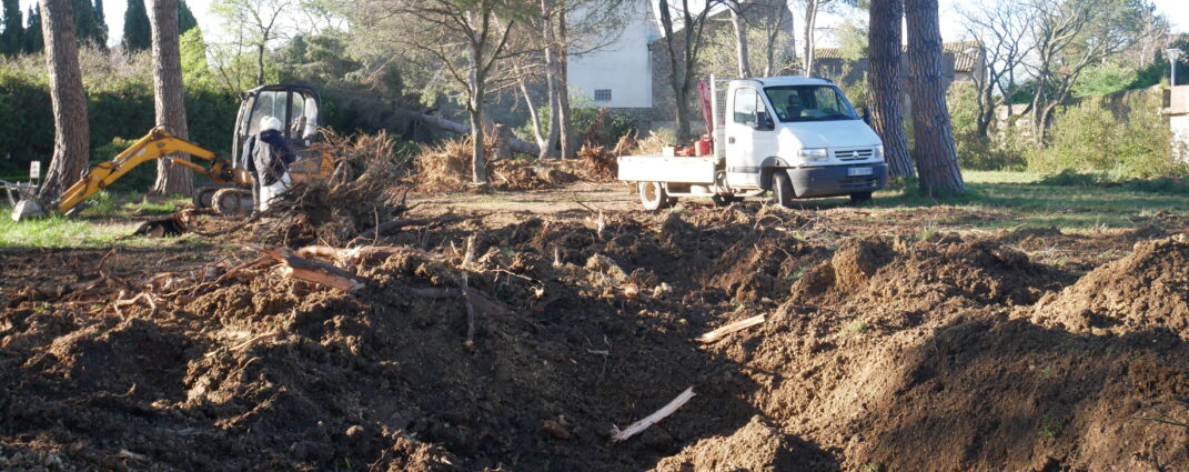Tempêtes dévastatrices